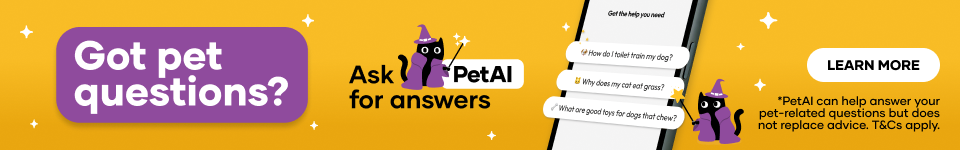 PetAI Tablet Banner