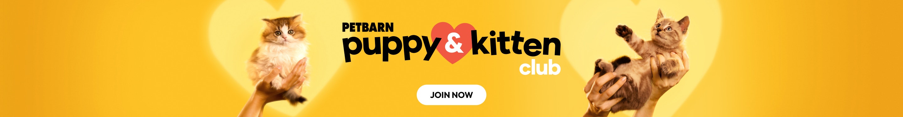 Winter Sale Homepage Banner