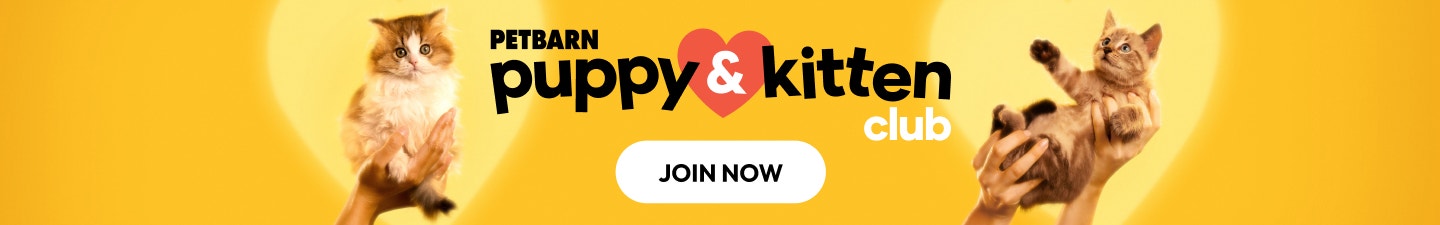 Winter Sale Homepage Banner