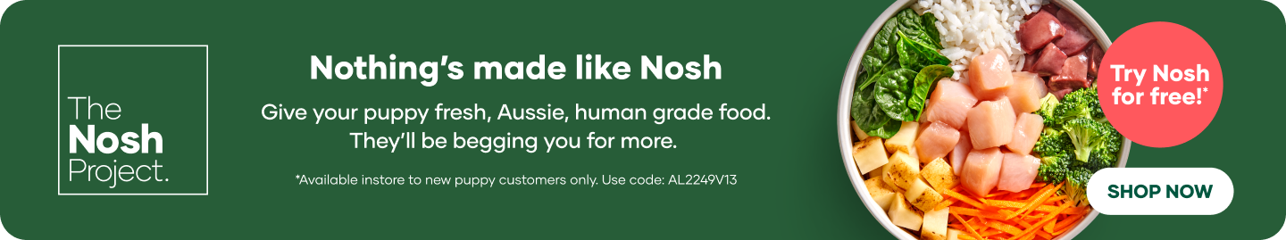 The Nosh Project Offer