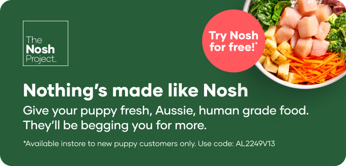 The Nosh Project Offer