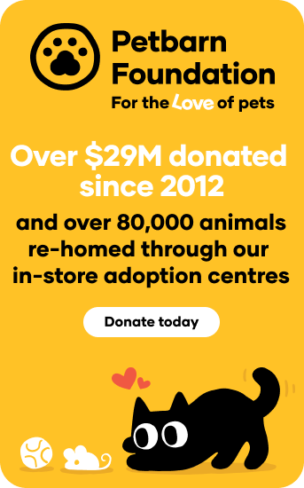 Petbarn Foundation Tablet Image
