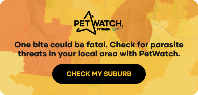 PetWatch Offer Banner