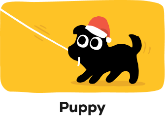 Puppy Supplies