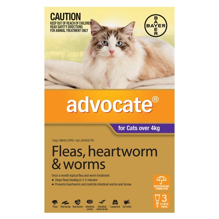 flea tick worm treatment for cats