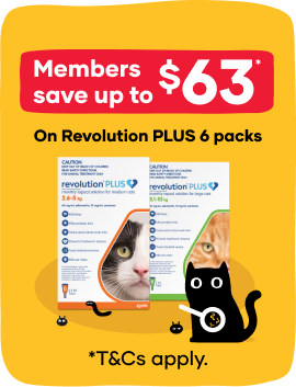 Little Paws Sale