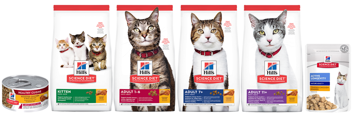 hills indoor cat food