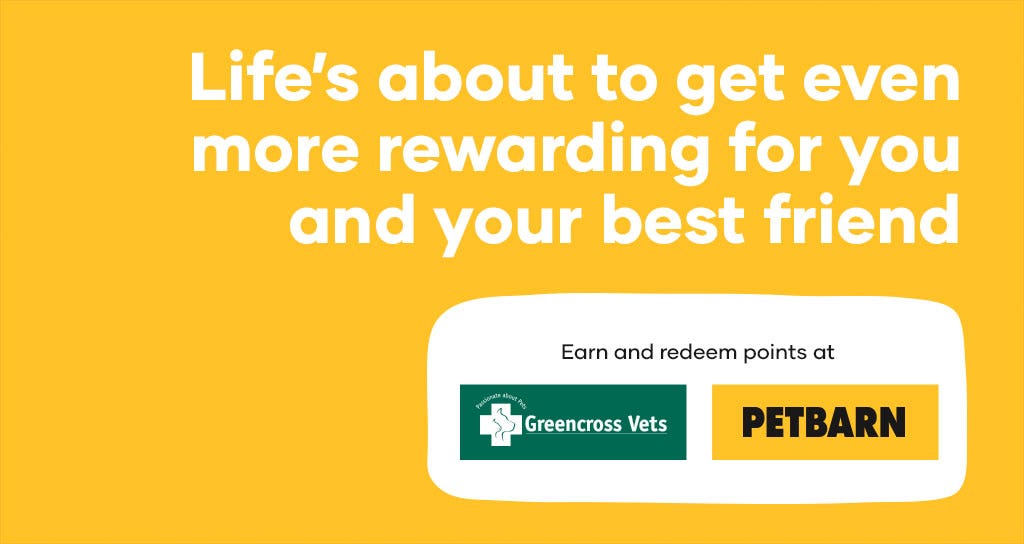 Loyalty Program Petbarn