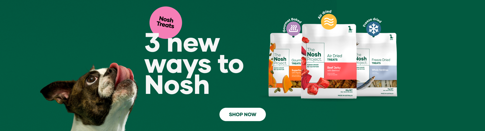 Shop Nosh Treats