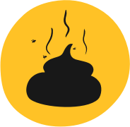 Dog Poo Odour