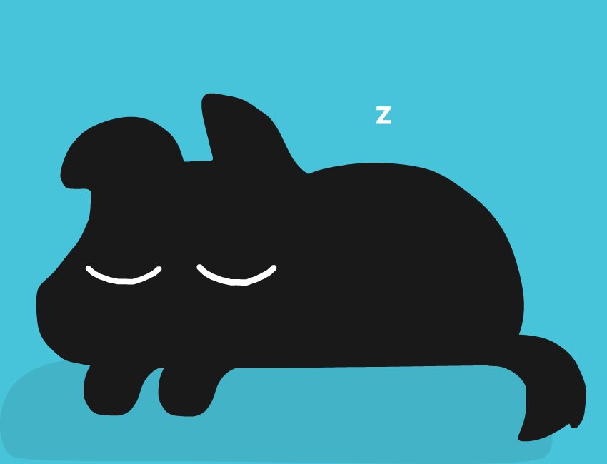 puppy sleeping