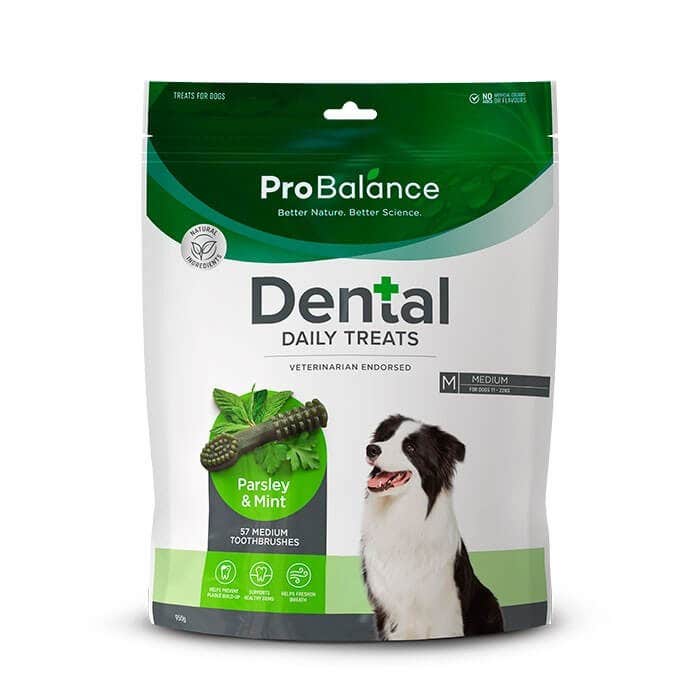 Toothbrush Parsley & Mint Medium Dog Treat