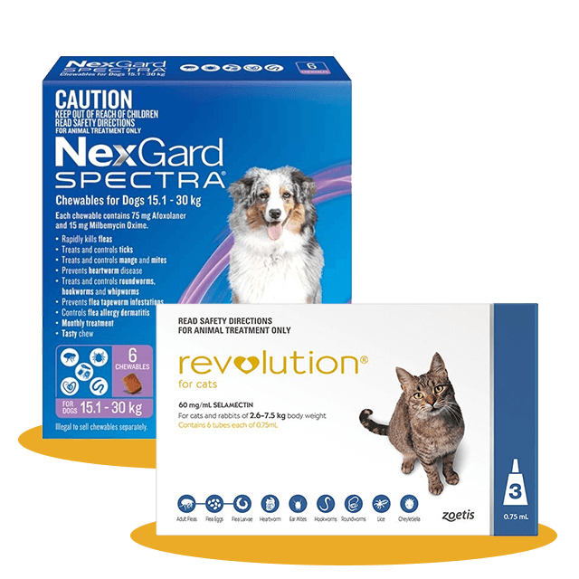 Pet Shop & Pet Warehouse | Buy Pet Supplies Online | Petbarn Pet Shop & Pet Warehouse | Buy Pet Supplies Online | Petbarn