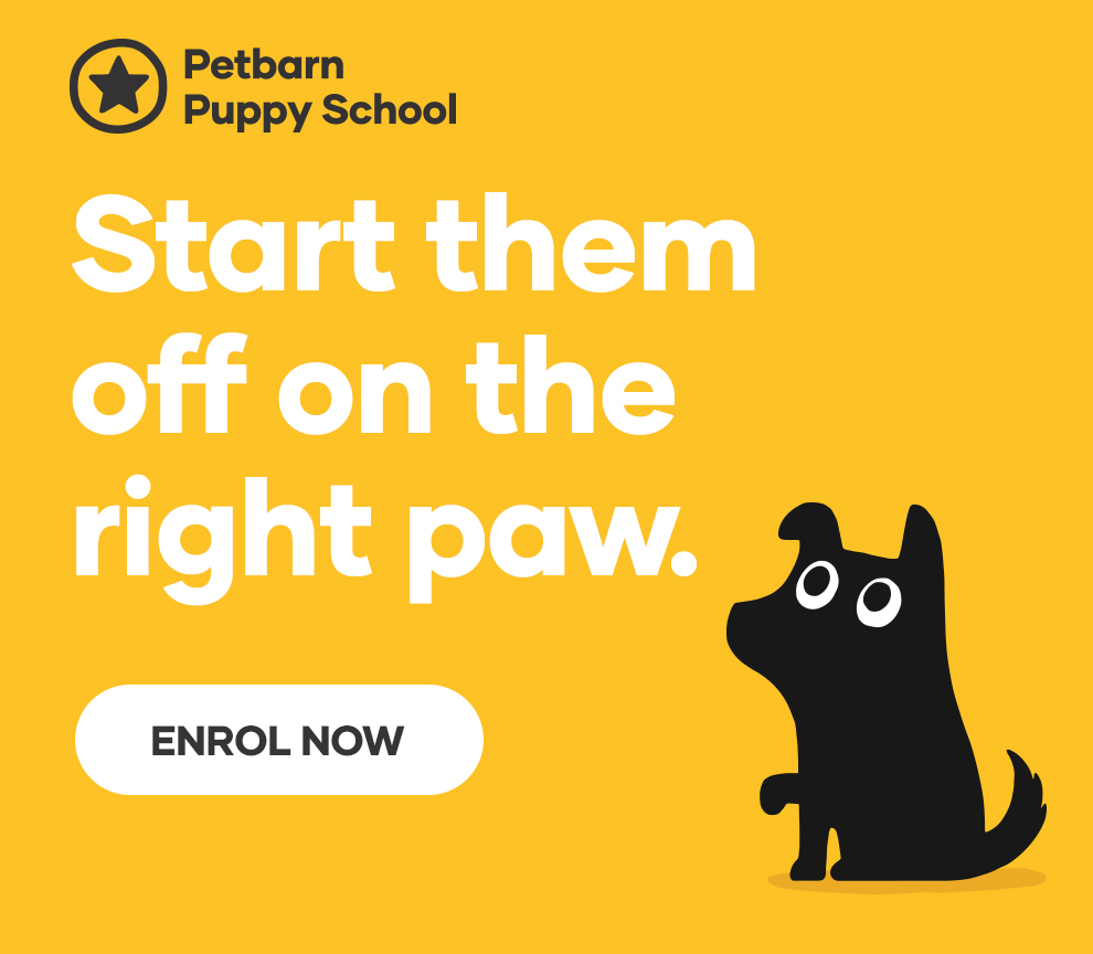 Enrol your puppy in Petbarn's Puppy School