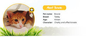 Bowie