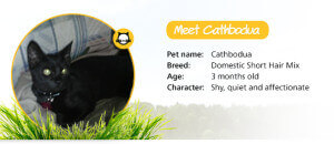 Cathbodua