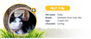 Holly
