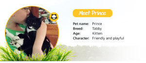 Prince