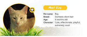 Roy