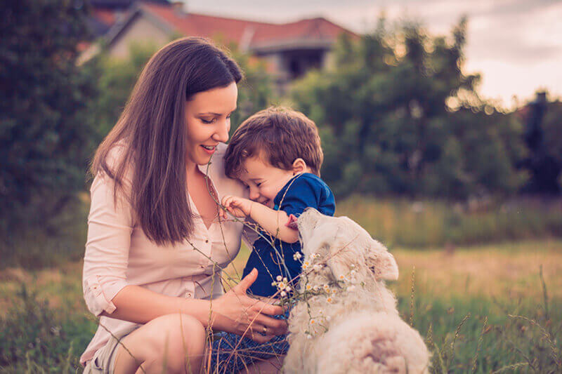 How do you introduce a puppy to a new family