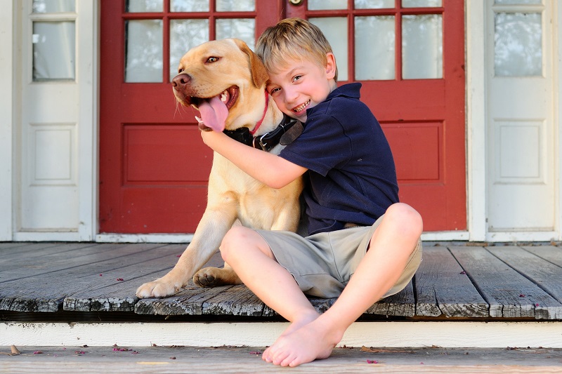 dog proof house