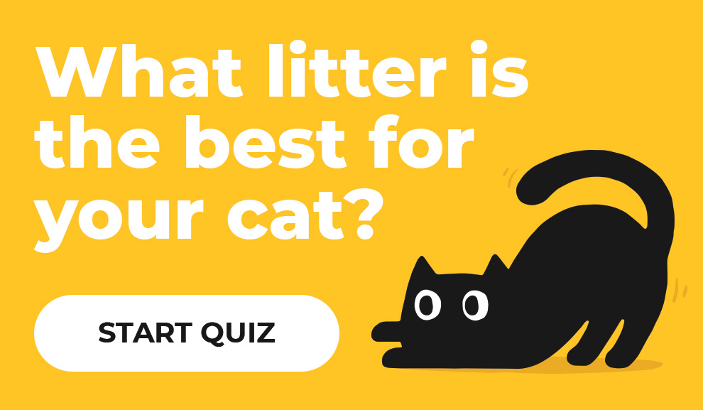 Start the cat litter finder tool to find the best match for you and your pet