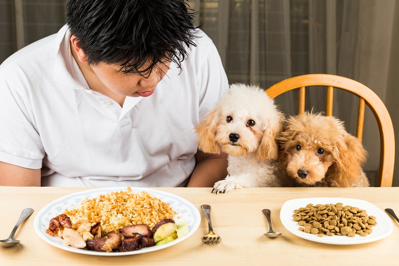 Ingredients that are toxic for dogs