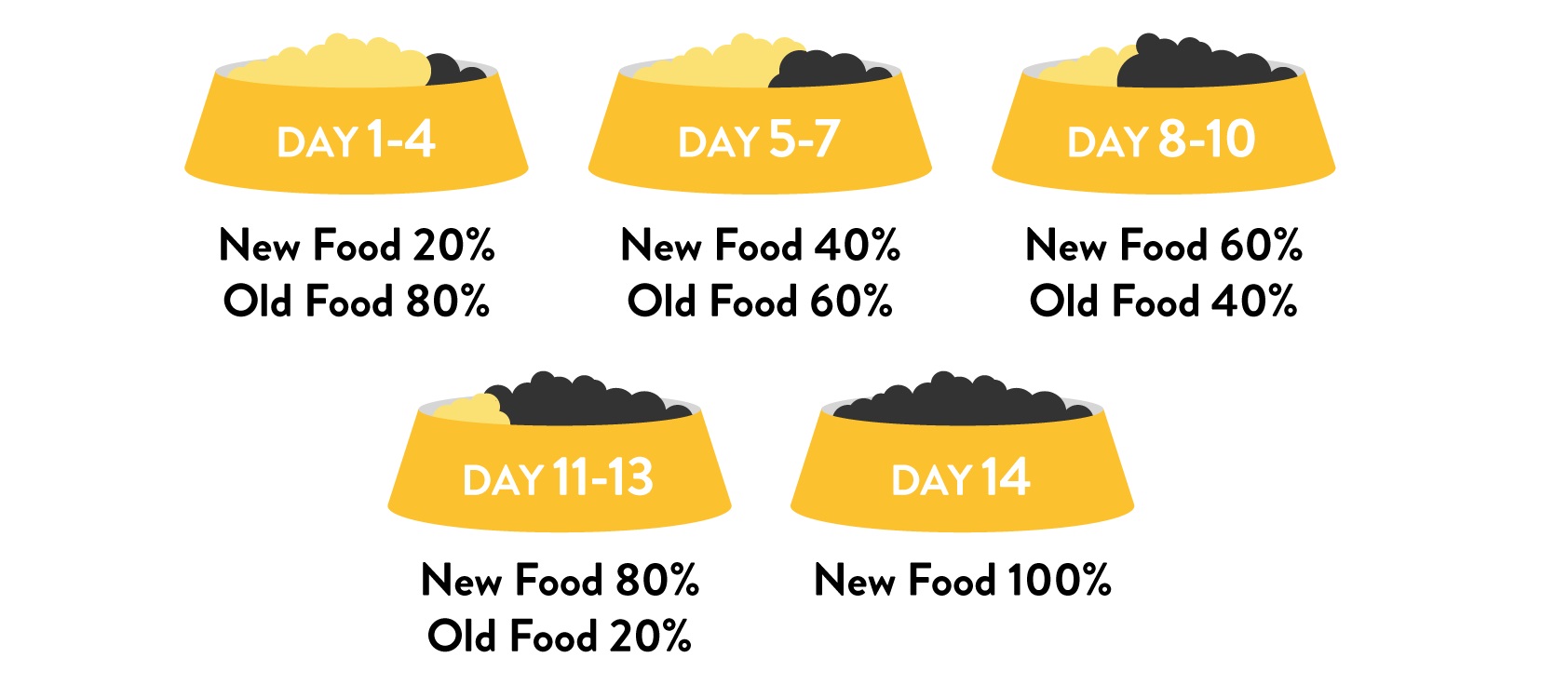 Dog Food Transition Chart