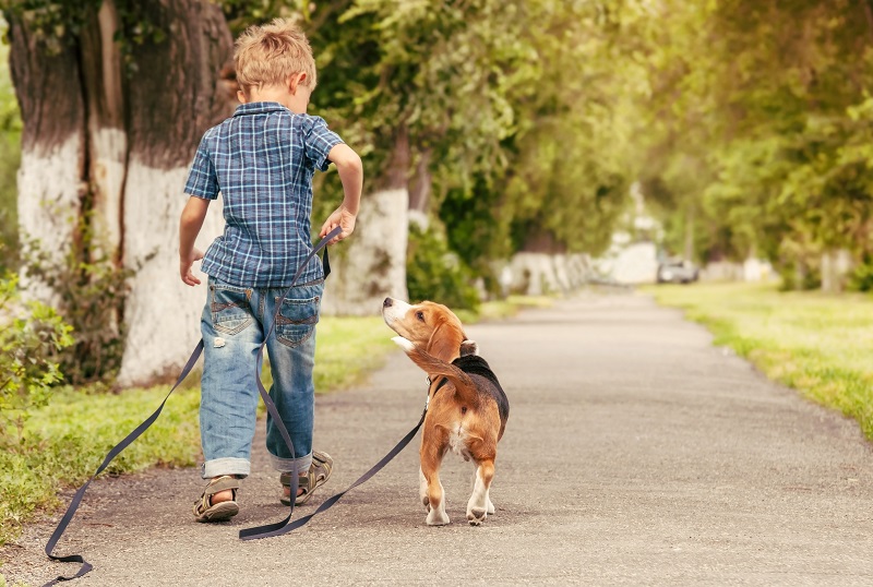 How pets boost your mental and physical health