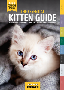 kitten-guide