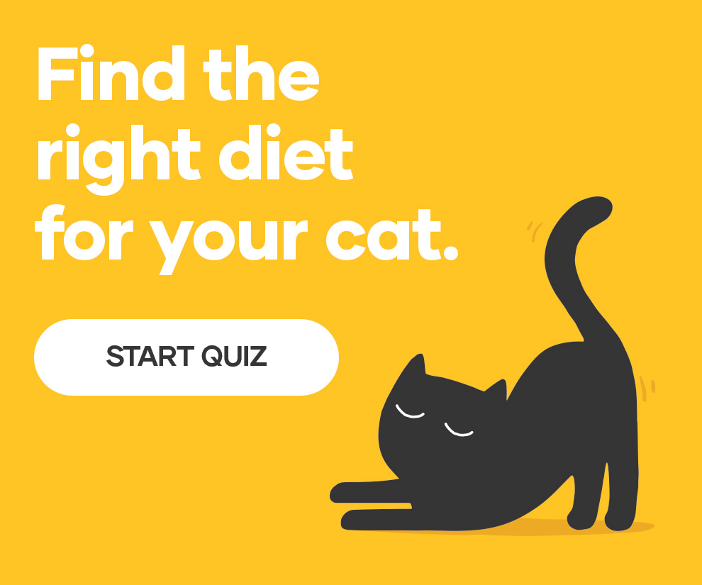 Try our Cat Food Finder tool