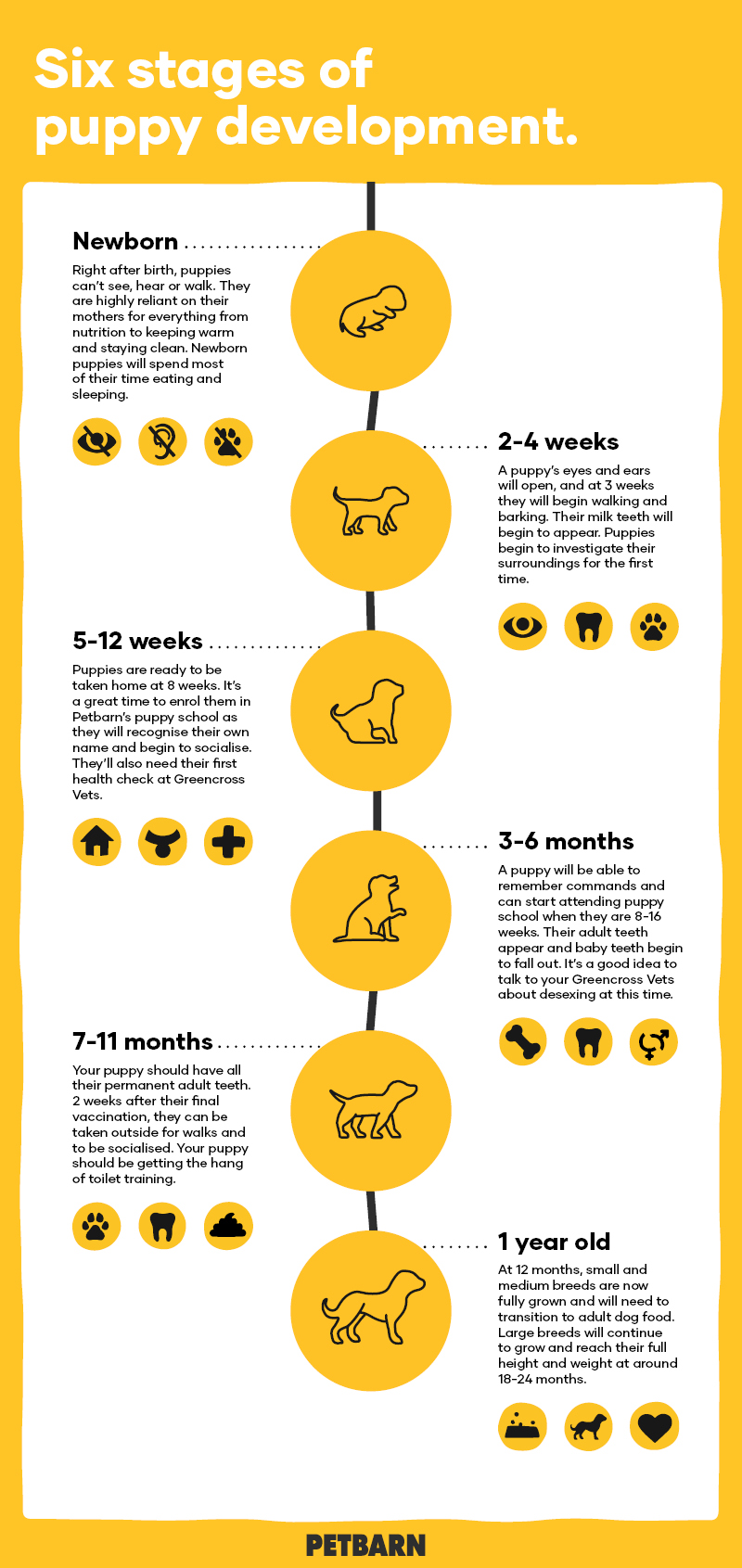 diet for 1 month old puppy