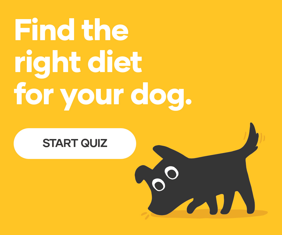 Start our Dog Food Finder Tool