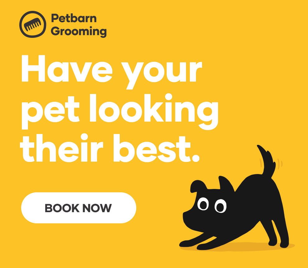 petbarn dog grooming