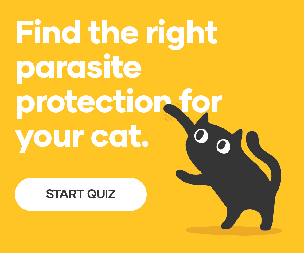 Try our Cat Flea, Tick and Worm Treatment Finder