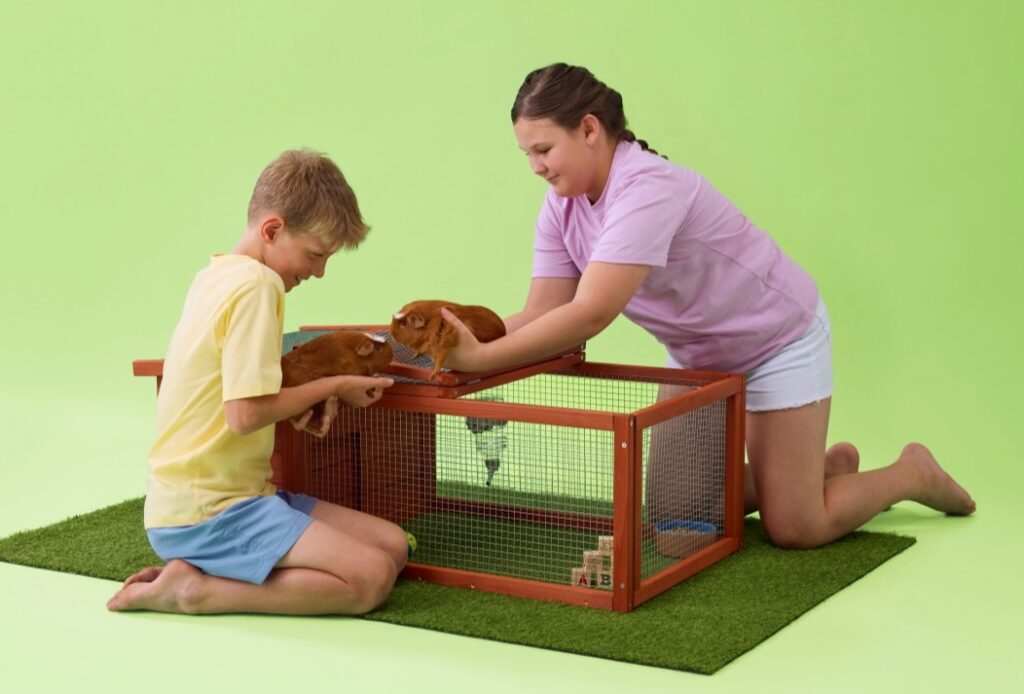 Kids playing with their first pet: guinea pigs