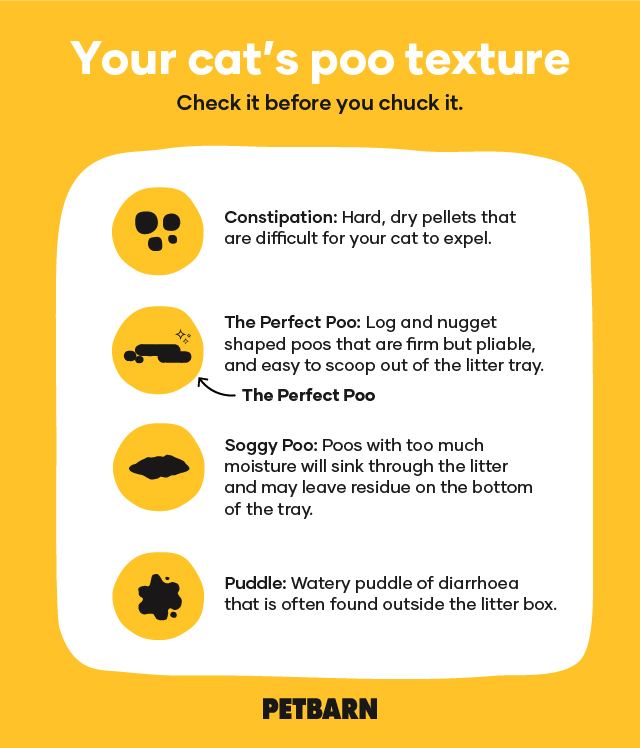 Cat Poo Chart: Runny Poo, Hard Poo 