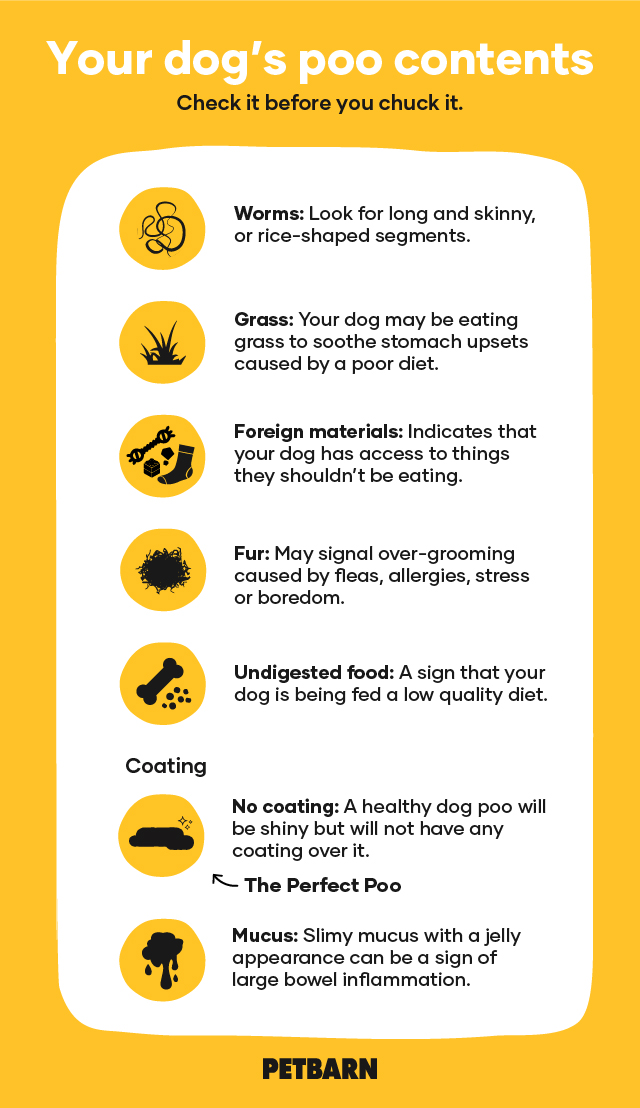 Dog Stool Chart