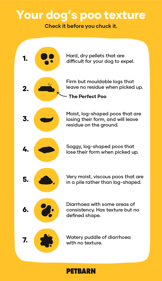 Dog Diarrhea Chart