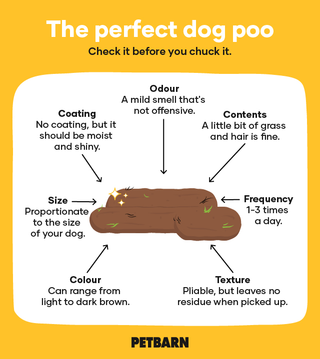 Poo Colour Chart