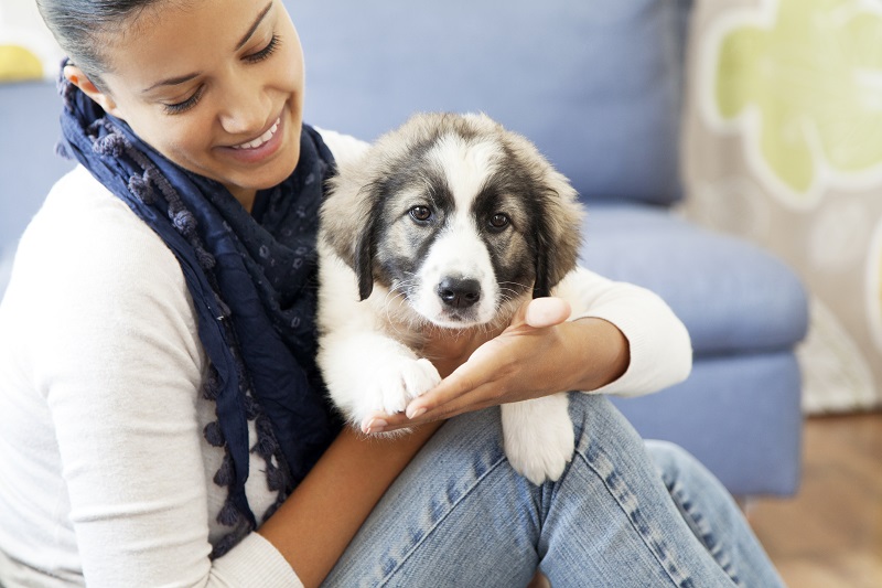Getting a puppy in winter cheap