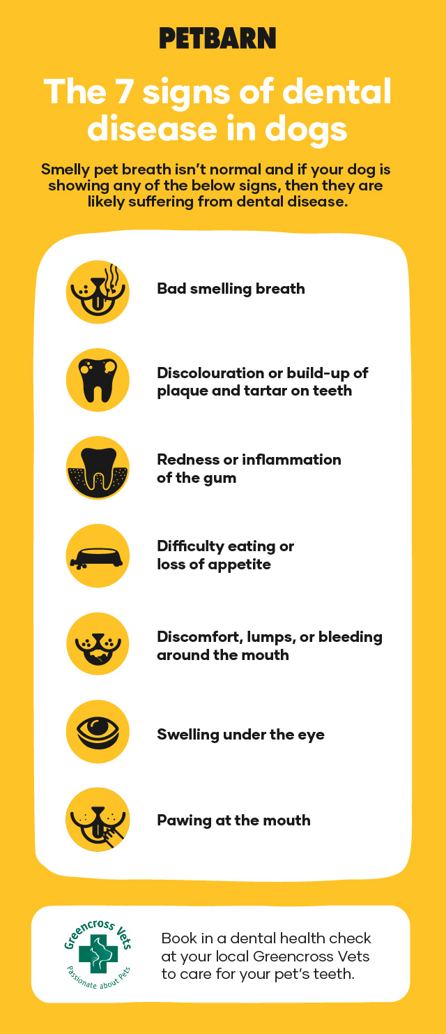 7 signs of dental disease in dogs