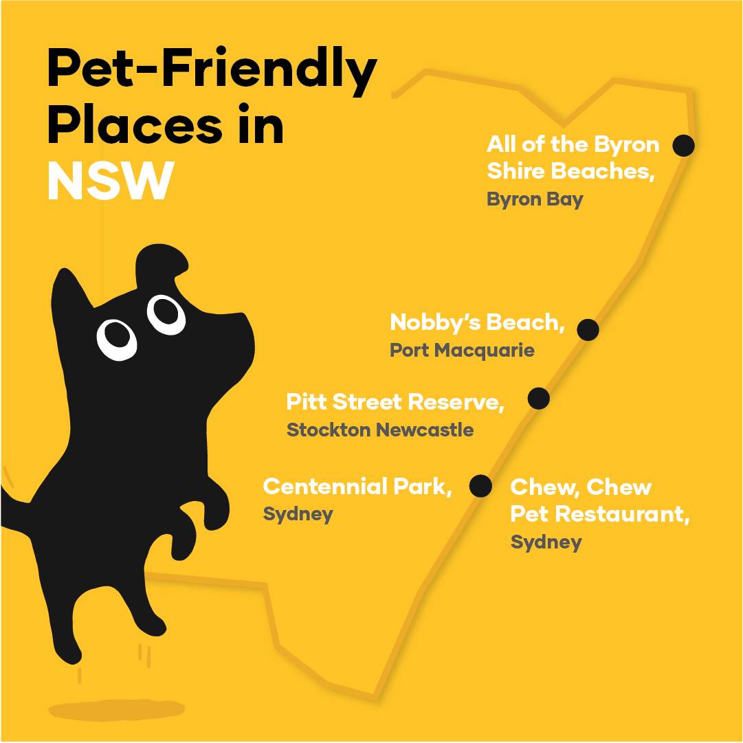 Ultimate list of dog-friendly places in Australia | Petbarn Articles