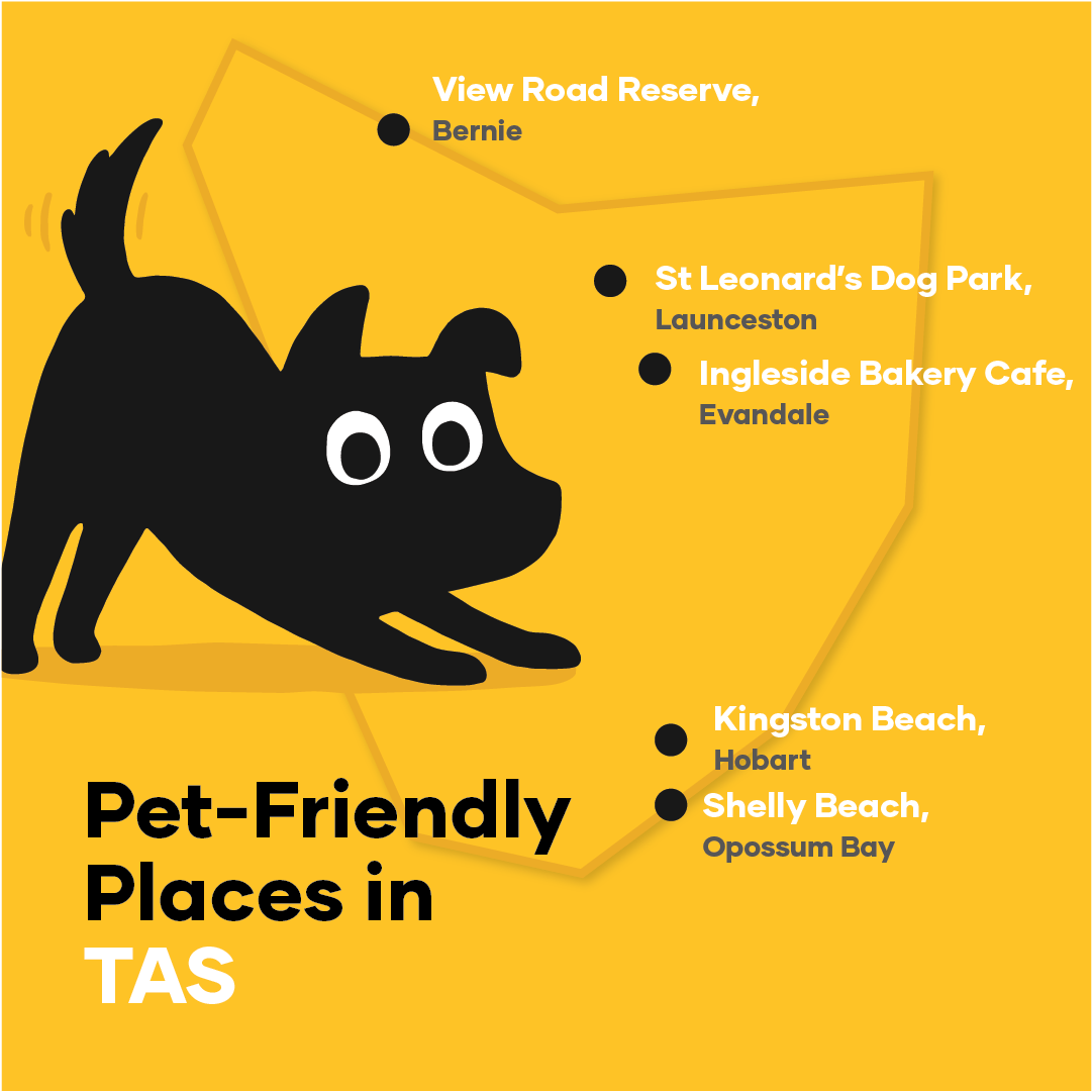 Ultimate list of dog-friendly places in Australia | Petbarn Articles