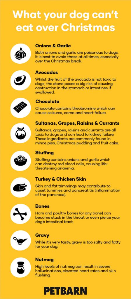 What your dog can't eat over Christmas - onion, garlic, chocolate, turkey and chicken skin, stuffing, gravy, currants and more.