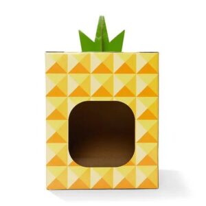 Pineapple Hideaway Cardboard Cat Scratcher