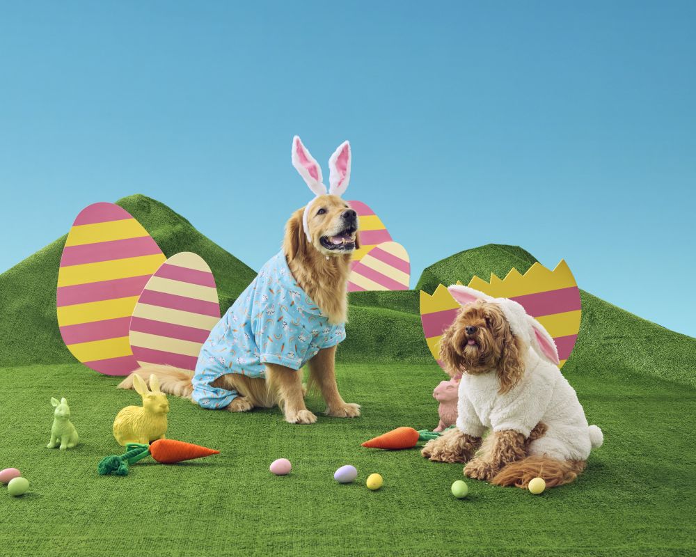 A golden retriever and cavoodle fressed up to celebrate Easter with safe Easter eggs for dogs. 
