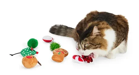 A white and brown long haired cat playing with the All Day Christmas Gingerbread Pole Cat Toy Gift Pack