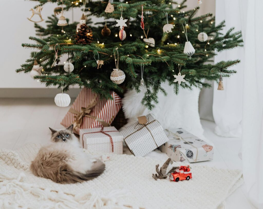 A ragdoll cat laying next to a Christmas tree and a collection of wrapped Christmas presents for cat lovers and their cat.
