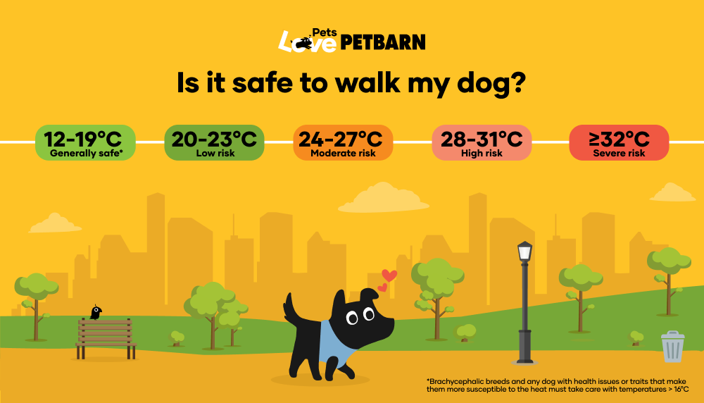 Is it safe to walk my dog? Temperature guidelines